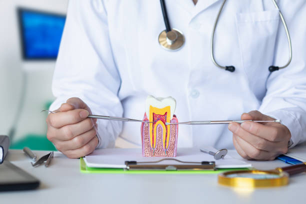 Best Cracked Tooth Emergency Dentist  in Batesburg Leesville, SC